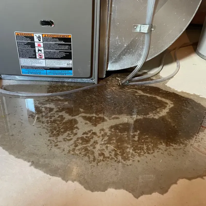 Appliance Leak Cleanup in Baytown, TX